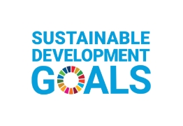 SDGs